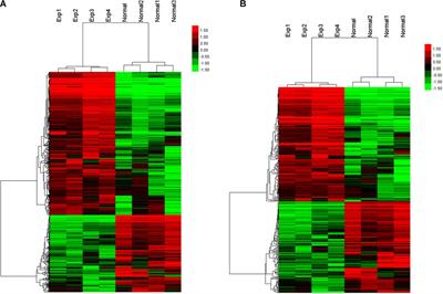 H3K4me3-Mediated Upregulation of LncRNA-HEIPP in Preeclampsia Placenta Affects Invasion of Trophoblast Cells